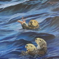 sea-otters-edited-1.jpg