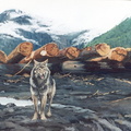 timber wolf