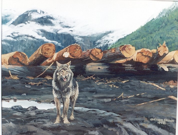 timber-wolf.jpg